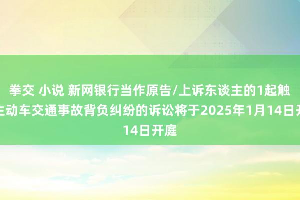 拳交 小说 新网银行当作原告/上诉东谈主的1起触及生动车交通事故背负纠纷的诉讼将于2025年1月14日开庭