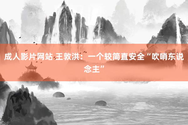 成人影片网站 王敦洪：一个较简直安全“吹哨东说念主”