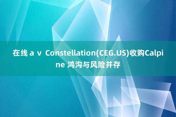 在线ａｖ Constellation(CEG.US)收购Calpine 鸿沟与风险并存