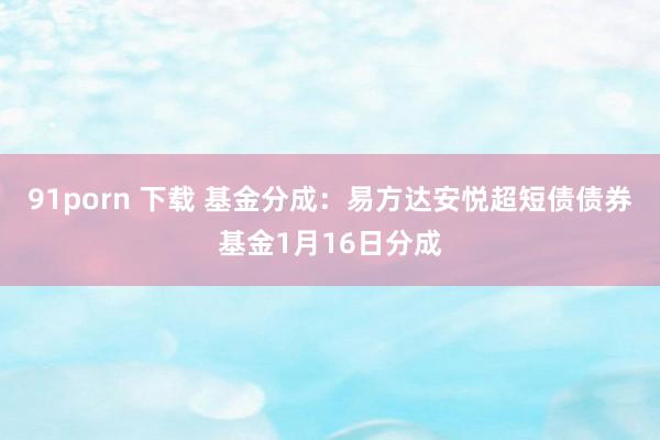 91porn 下载 基金分成：易方达安悦超短债债券基金1月16日分成