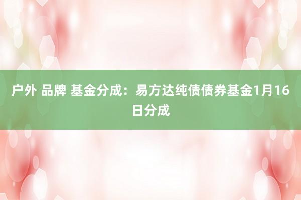 户外 品牌 基金分成：易方达纯债债券基金1月16日分成