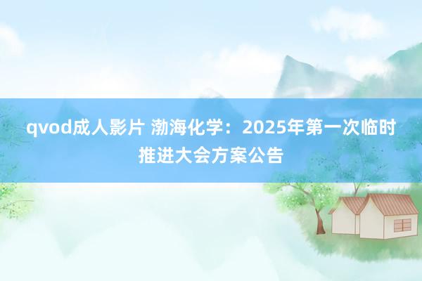 qvod成人影片 渤海化学：2025年第一次临时推进大会方案公告