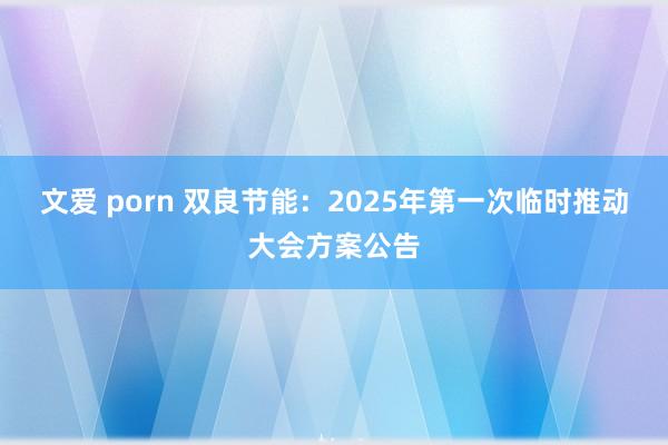 文爱 porn 双良节能：2025年第一次临时推动大会方案公告