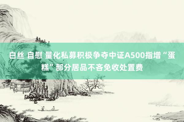 白丝 自慰 量化私募积极争夺中证A500指增“蛋糕”部分居品不吝免收处置费